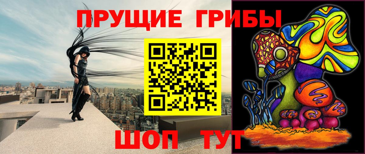 Галлюциногенные грибы Psilocybe Ленинск-Кузнецкий